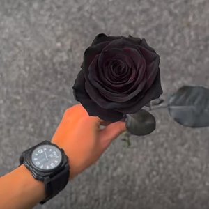 Suritimni Awatipsan Yar