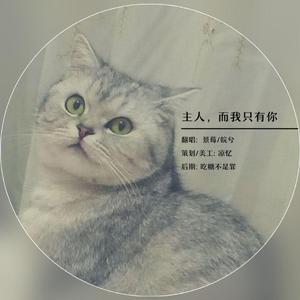 主人，而我只有你