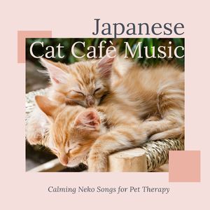 Calming Music for Cats