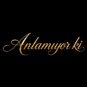 Anlamıyor ki
