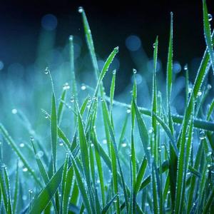 在小小的花园里面挖呀挖呀挖