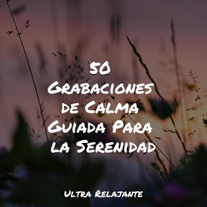 Ondas Fluctuantes