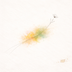 Mille colori di volte