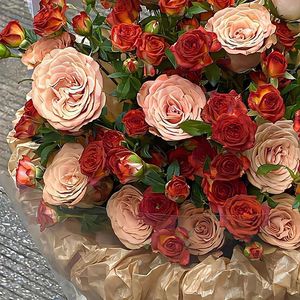 追寻自由的翅膀