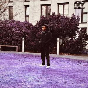 Purple Flowers