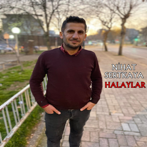Ersin Dağlar Dolaşma