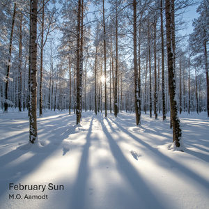 February Sun
