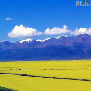 哄睡轻音乐（钢琴）