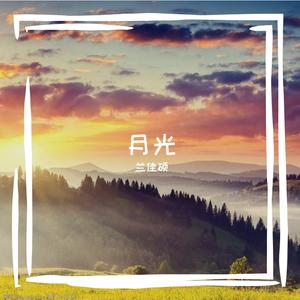 何必纠结过去多情的打扰