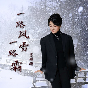 一路风雪一路霜DJ版
