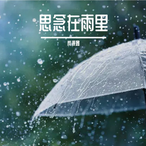 思念在雨里