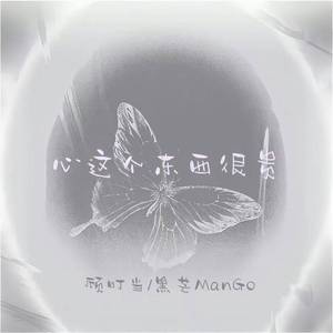 心这个东西很贵