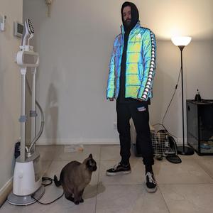 BDF