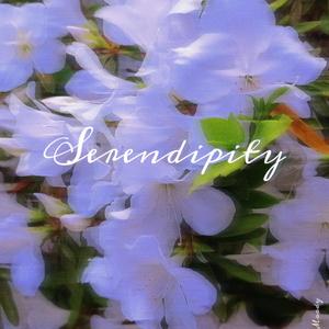 Serendipity