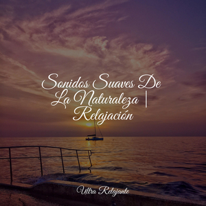 Pantanos Suaves