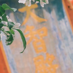 生命卷轴 -- Reel of Life