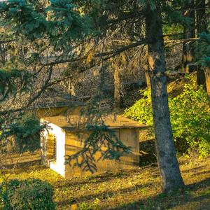 I Took A pill ln lbiza（surround version）