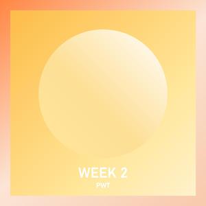Week 2