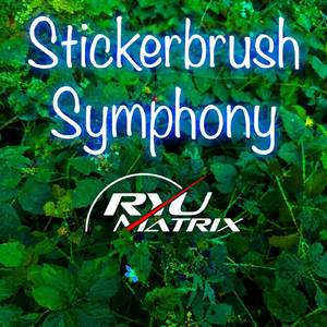 Stickerbrush Symphony (from "Donkey Kong Country 2")
