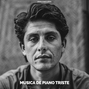 Persiguiendo sombras