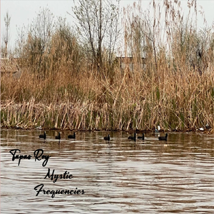 Whispers of the Orient (Live) [feat. Nirmalya Humtoo Dey & Bitopan Phukan]