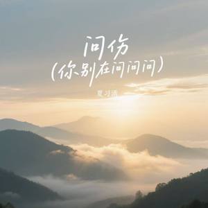问伤 (你别在问问问)