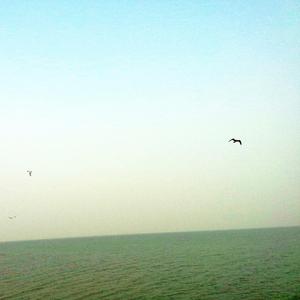 五楼阳台的男人