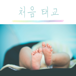 고섹 - 가보트 (Rain Ver.)