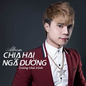 Câu Hỏi Em Chưa Trả Lời (Remix)
