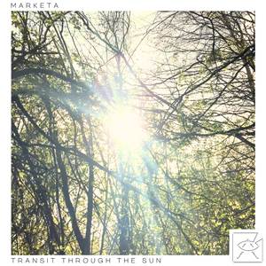 Transit Through the Sun