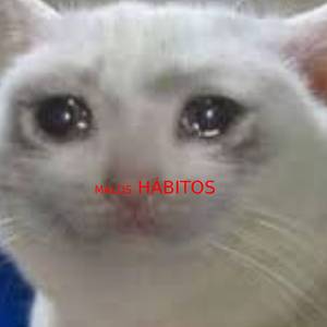 Malos Hábitos