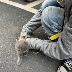 花子君