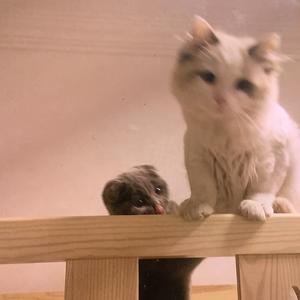 当爱伤人之前，我们能够爱多久？