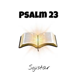 Psalm23