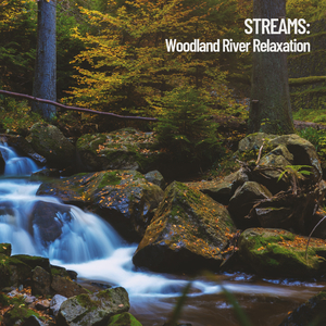 Woodland Rapid Stream