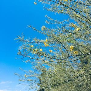 勇敢爱（翻自 Mi2）