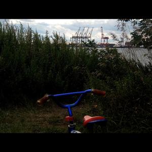 Birth Revokes Priviliges