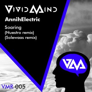 Soaring (Solewaas Remix)