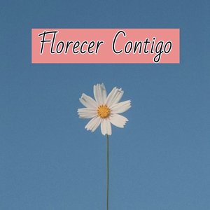 Florecer Contigo