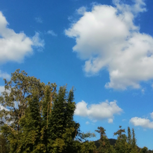 缘分天注定伴奏