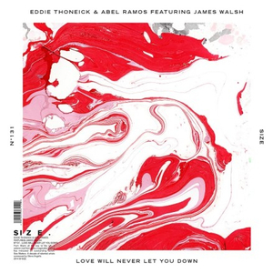 Love Will Never Let You Down (Original Mix)