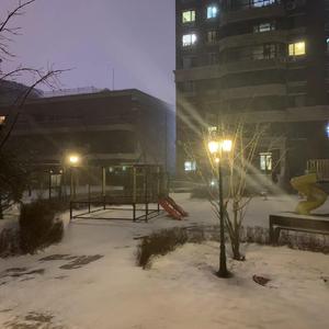 赤裸的在我梦里