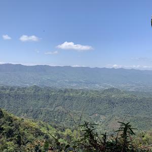 蜡笔小新-mom（一梓 remix）