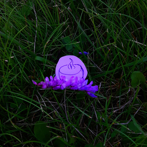 Свечи с лавандой