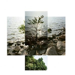 Audentes fortuna iuvat