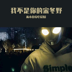 我不是你的宋冬野