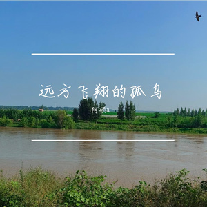 远方飞翔的孤鸟
