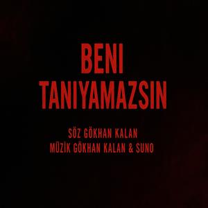 Beni tanıyamazsın