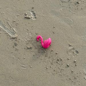 หากวันนึงเธอหันกลับมาเพียงชั่วคราว