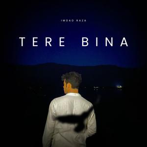 Tere Bina